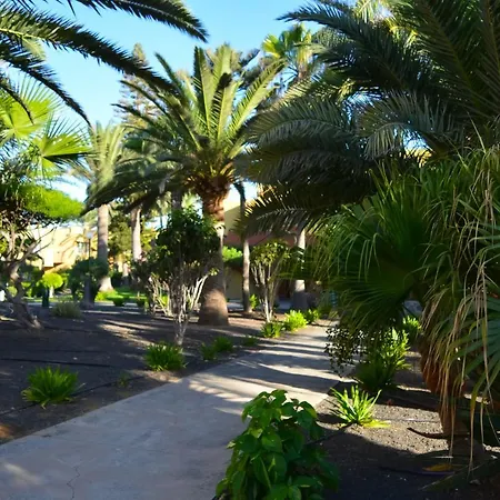Apartamento Atlantic Garden 238 By Holidays Fuerteventura